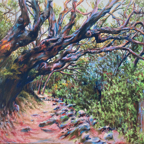 Maquis chiesa 100x130cm